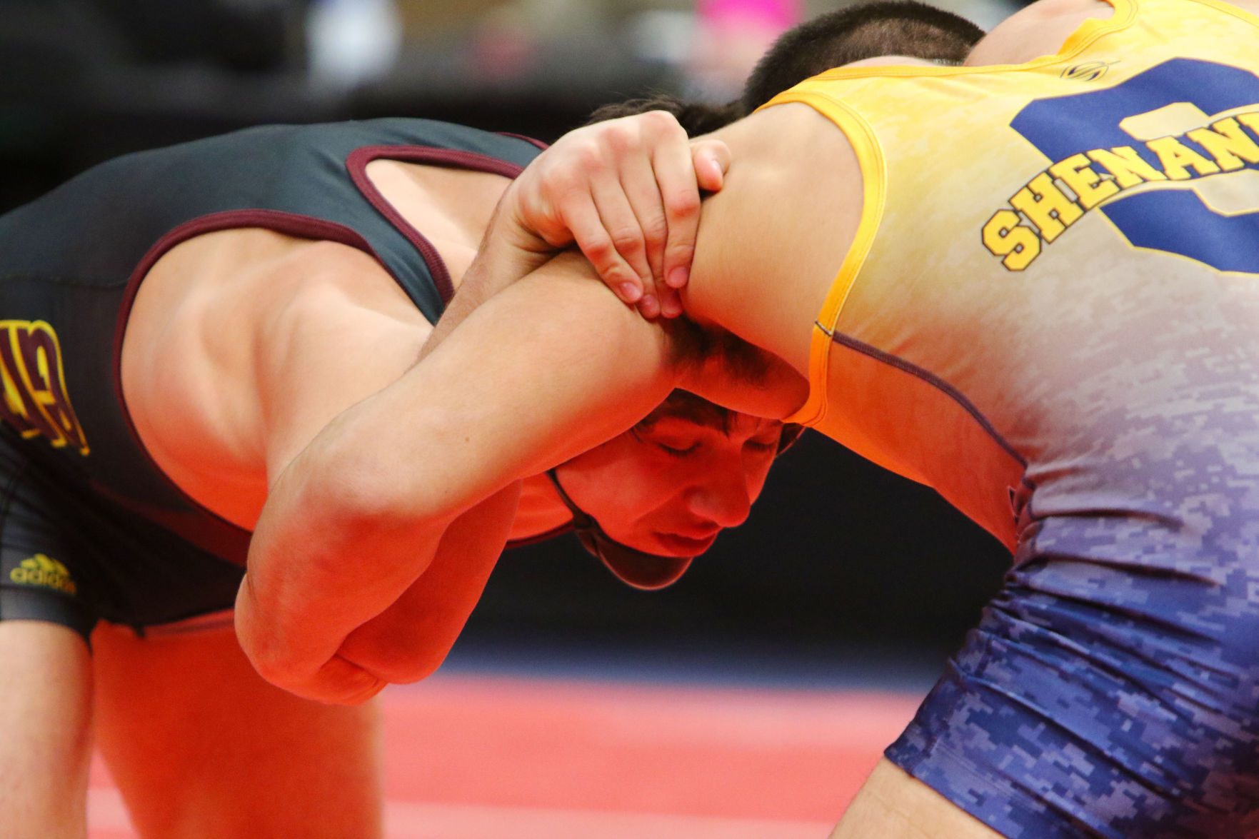 Gallery: Wrestling State Finals
